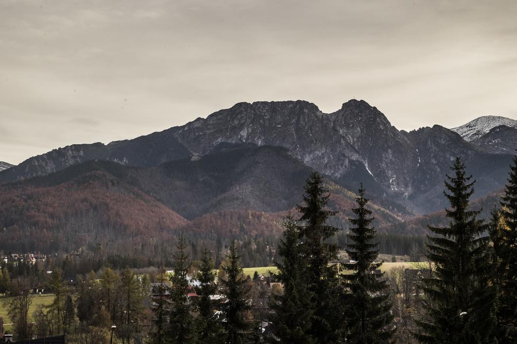 Willa Leluja Zakopane Exterior photo